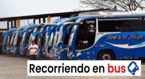 Toda la información sobre los buses en Ecuador cooperativa de transporte señor de los milagros