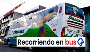 Toda la información sobre los buses en Ecuador cooperativa de transporte macas