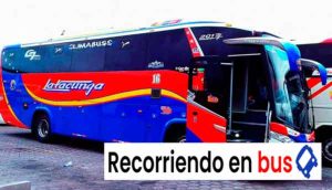 cooperativa de transporte latacunga