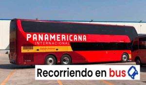 cooperativa de transporte panamericana