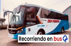 cooperativa de transporte san pedrito